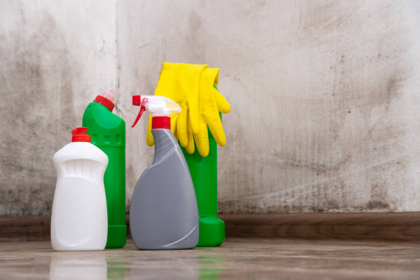 Best Mold Odor Removal Services  in Sharpsburg, PA